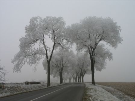 Sortie du 20/12/09